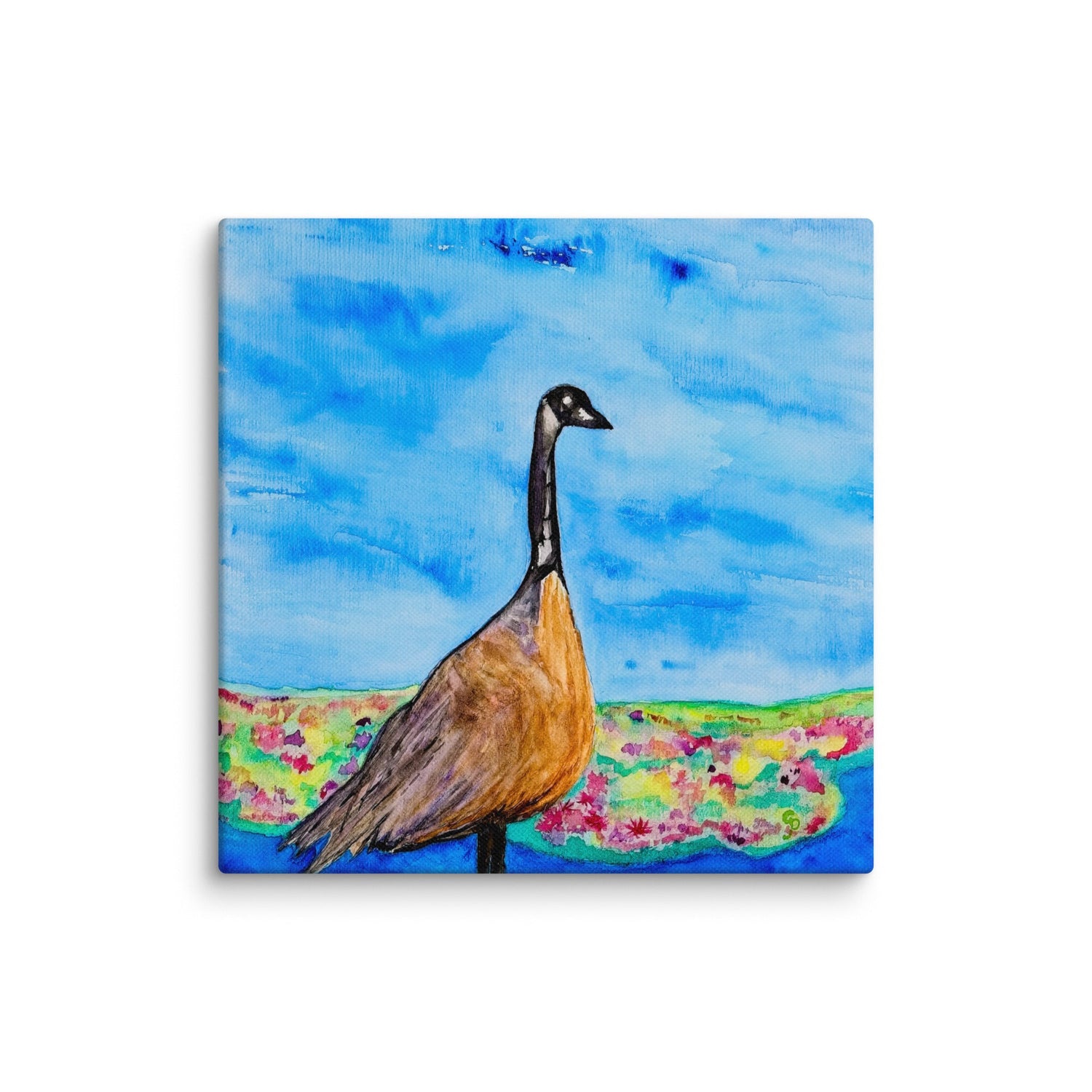 Pets & Wildlife