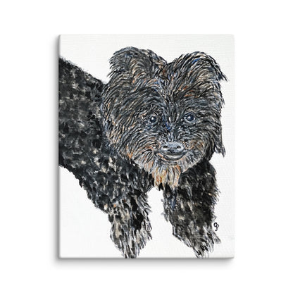 Canvas print of a black and brown dog on a white background