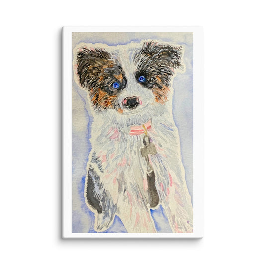 8 x 12 canvas print of a watercolor portrait and piece of art of an aussie shepherd dog with beautiful blue eyes on a light blue and white background