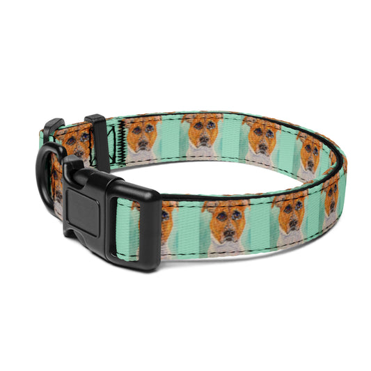 Dog collar with a pattern of dogs on a green background