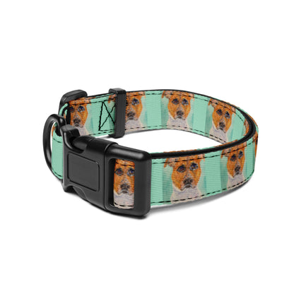 Adjustable pet collar featuring original artwork—durable and comfortable with secure buckle closure; perfect for dogs or cats, combining everyday function with stylish, artistic design.